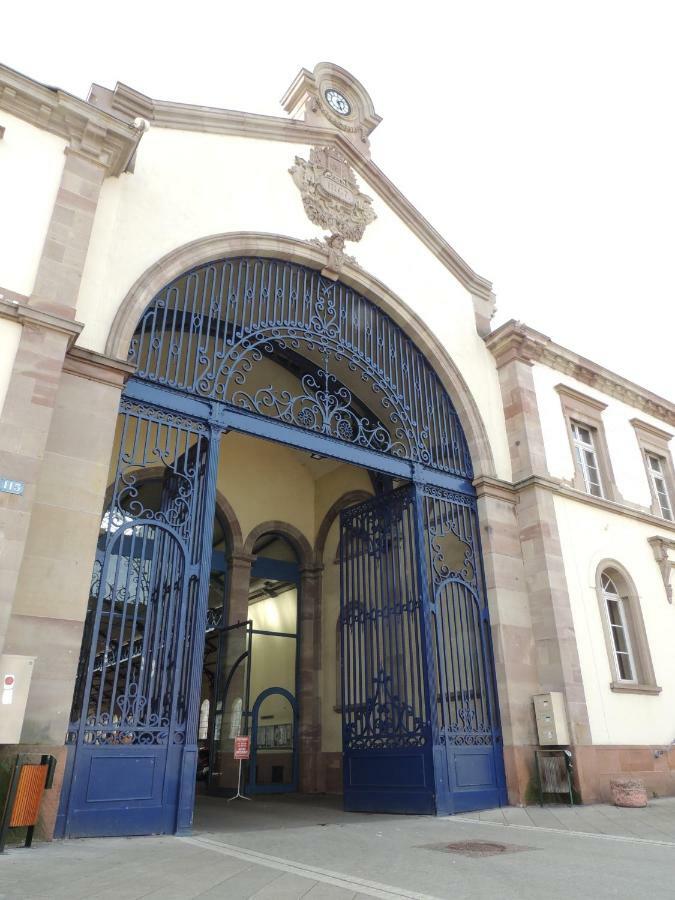 Appart'Azur Haguenau - Centre Grand'Rue - Logements Entiers Pour Voyageur Pro エクステリア 写真