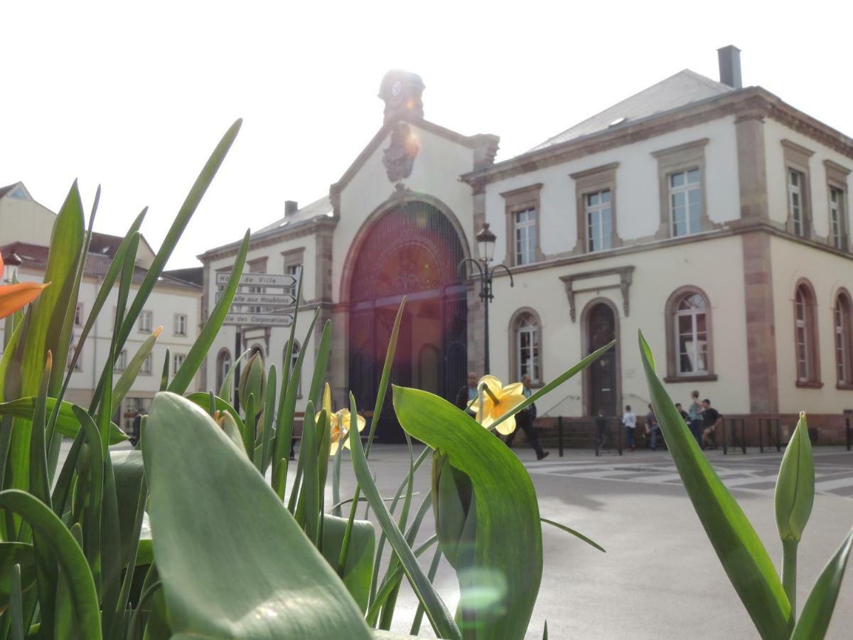 Appart'Azur Haguenau - Centre Grand'Rue - Logements Entiers Pour Voyageur Pro エクステリア 写真