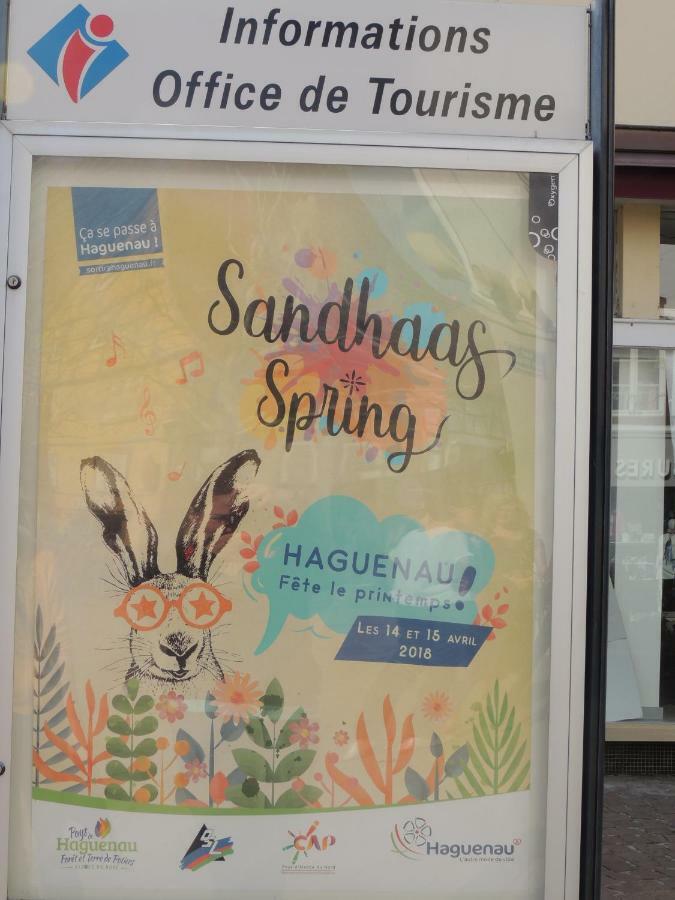 Appart'Azur Haguenau - Centre Grand'Rue - Logements Entiers Pour Voyageur Pro エクステリア 写真