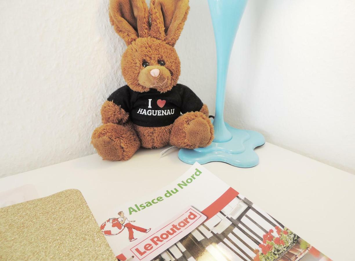 Appart'Azur Haguenau - Centre Grand'Rue - Logements Entiers Pour Voyageur Pro エクステリア 写真