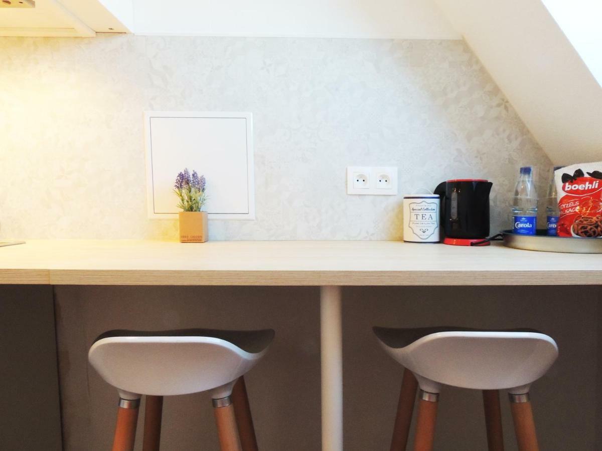 Appart'Azur Haguenau - Centre Grand'Rue - Logements Entiers Pour Voyageur Pro エクステリア 写真