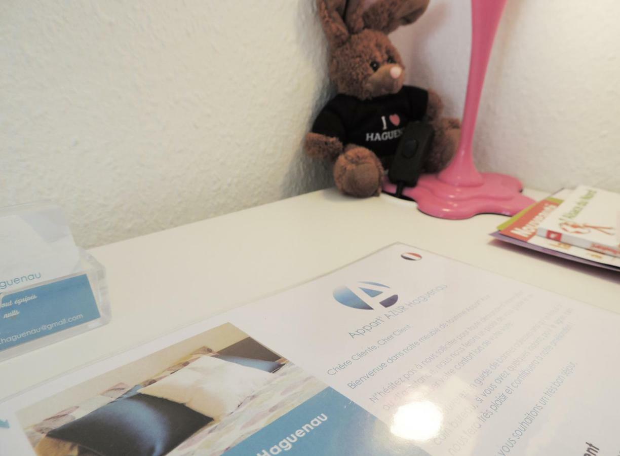 Appart'Azur Haguenau - Centre Grand'Rue - Logements Entiers Pour Voyageur Pro エクステリア 写真