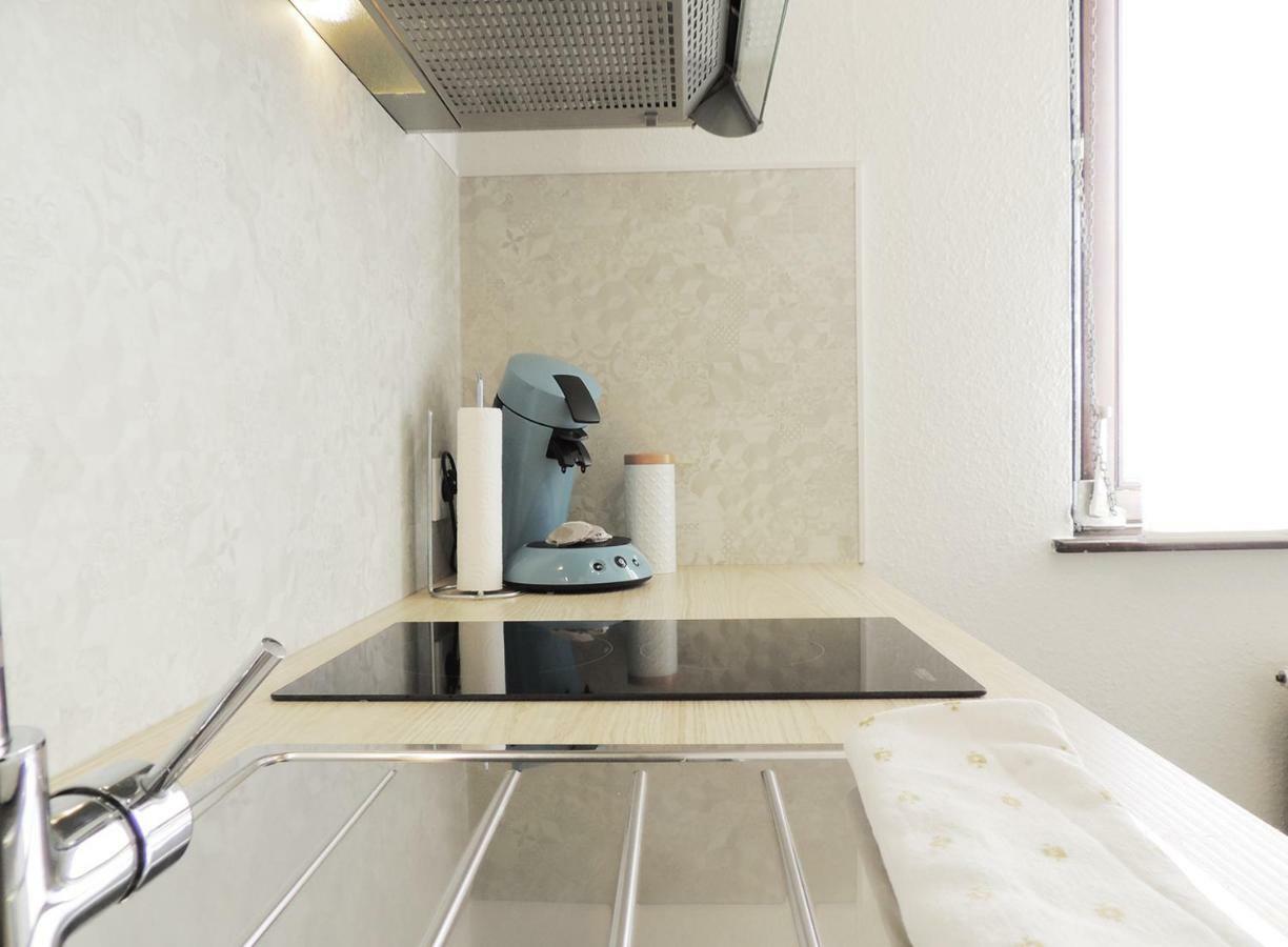 Appart'Azur Haguenau - Centre Grand'Rue - Logements Entiers Pour Voyageur Pro エクステリア 写真